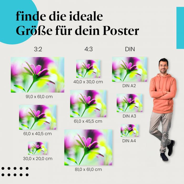 Blumen im Detail: Poster "Pinke Schönheit" - Leuchtende Farben & Wassertropfen