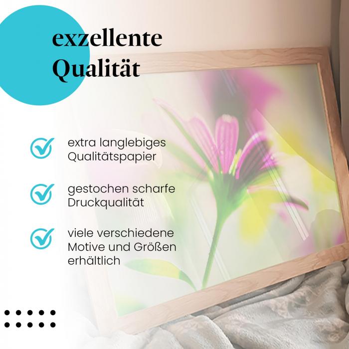 Gerahmtes Wandbild "Pinke Schönheit: Blume im Detail" in verschiedenen Größen.