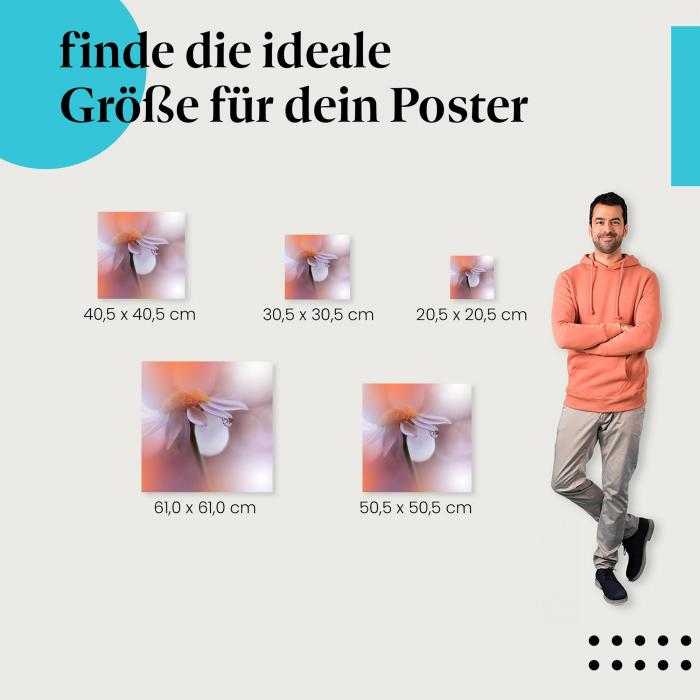 Entdecke die passende Größe: Blume, Makro, Tautropfen.
