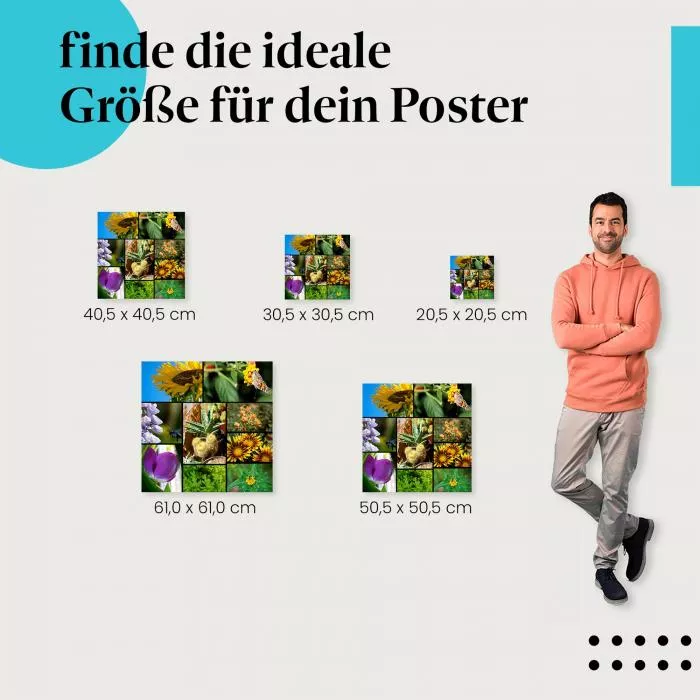 Blumen & Insekten | Postereck 2408