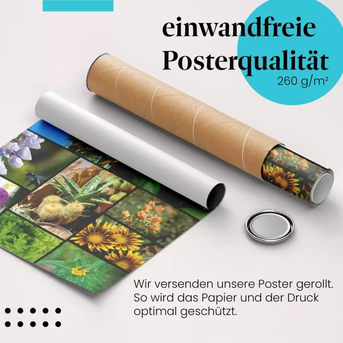 Blumen & Insekten | Postereck 2408