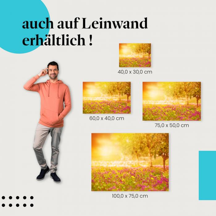 Leinwandbild "Sonnenuntergang über blühender Wiese": Natur & Romantik