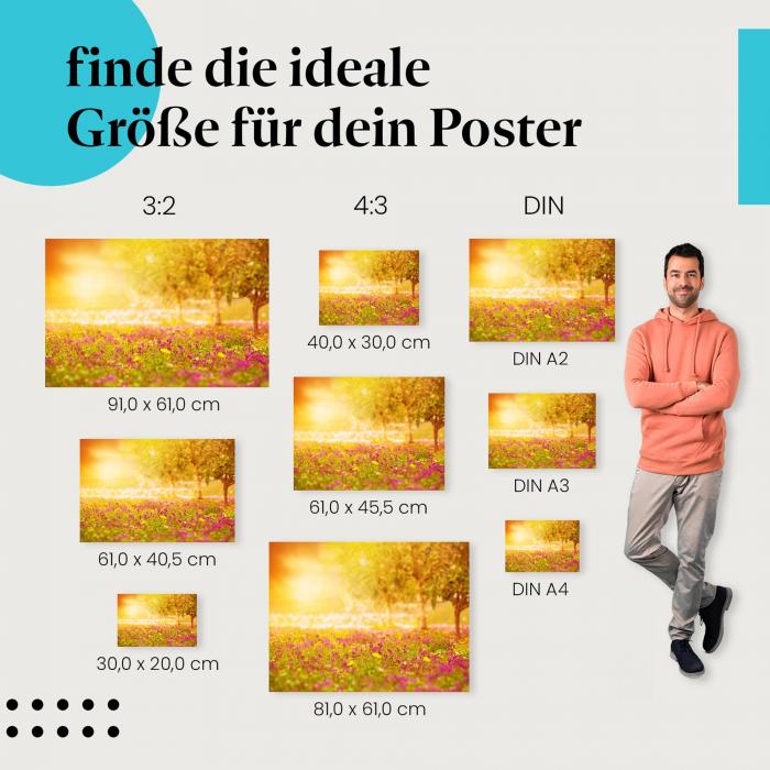 Idyllische Stimmung: Poster "Sonnenuntergang über blühender Wiese" - Wiese & Blumen