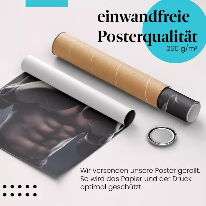 Boxer | Postereck 3161