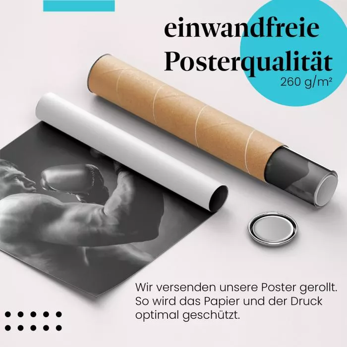 Boxer | Postereck 3457