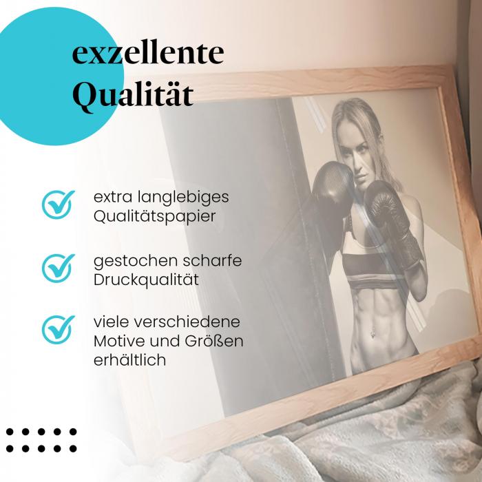 Preview: Boxerin: Training & Power | Postereck 0858