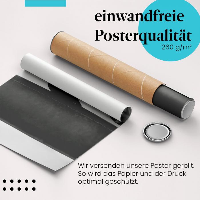 Preview: Boxerin: Training & Power | Postereck 0858