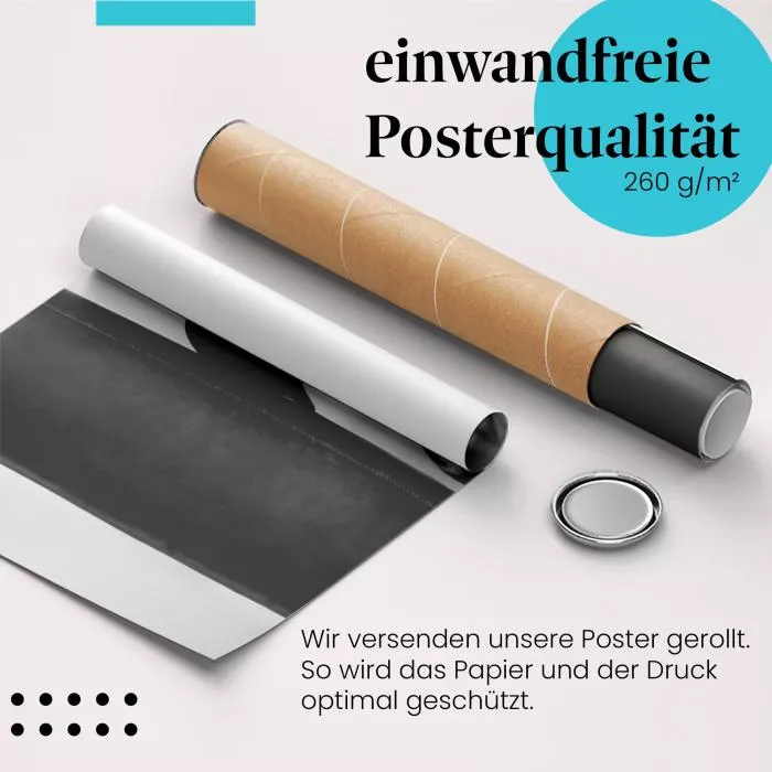 Boxerin: Training & Power | Postereck 0858
