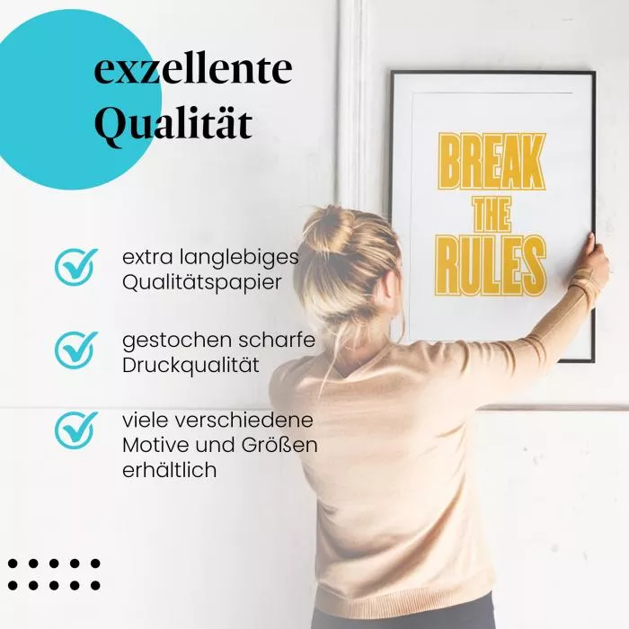 Break the Rules | Postereck 1565