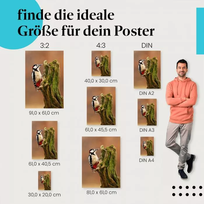 Buntspecht | Postereck 4109