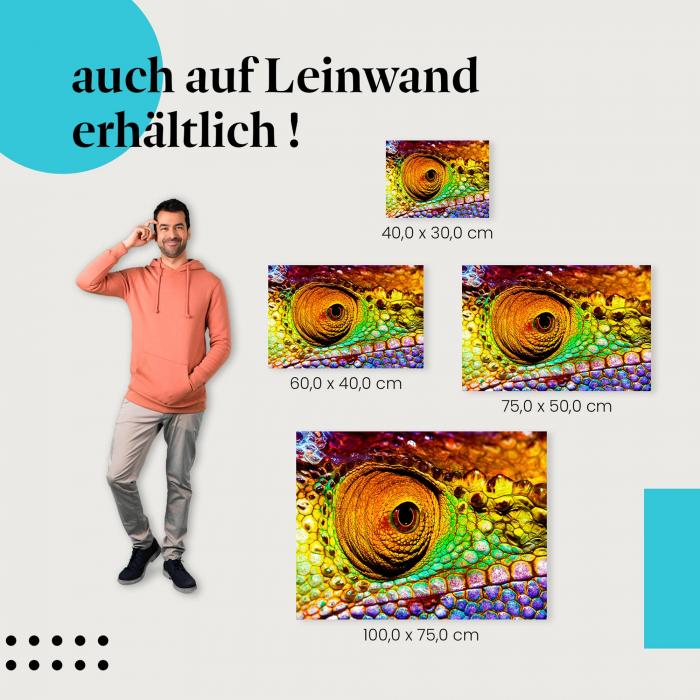 Leinwandbild "Farbenpracht": Die faszinierende Welt der Reptilien