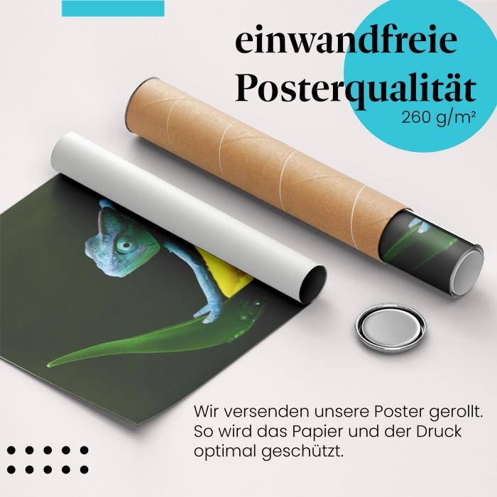 Gerolltes Poster "Chamäleon". Farbenpracht, Natur.