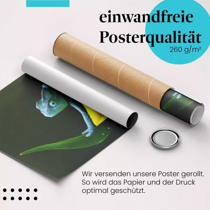 Farbenpracht der Natur: Chamäleon | Postereck 0196