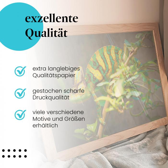 Gerahmtes Bild "Chamäleon". Tier, Ast, bunte Farben, exotisch.