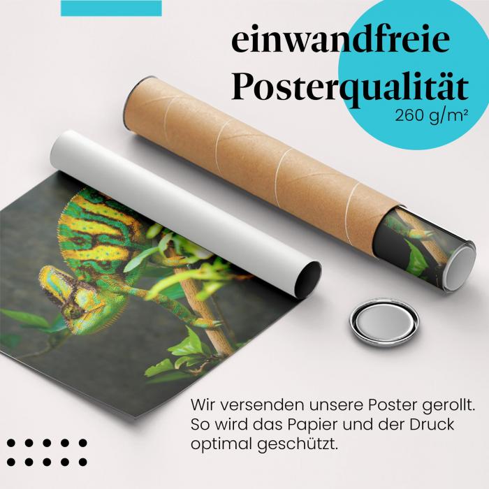 Gerolltes Poster "Chamäleon" - Tier & Natur, sicher verpackt.