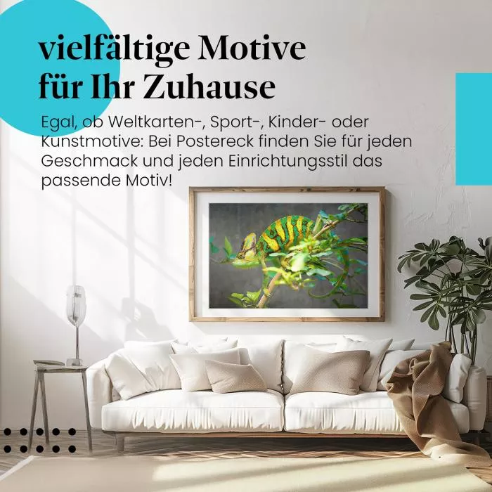 Chamäleon | Postereck 3934