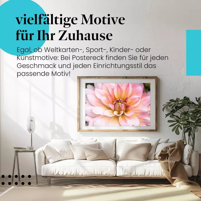 Zartrosa Dahlie | Postereck 2814