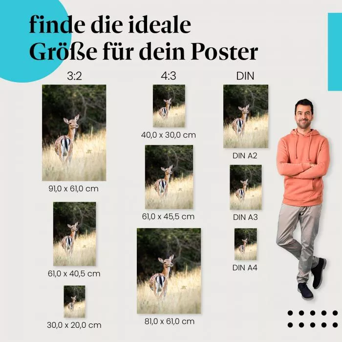 Damhirschkuh | Postereck 3661