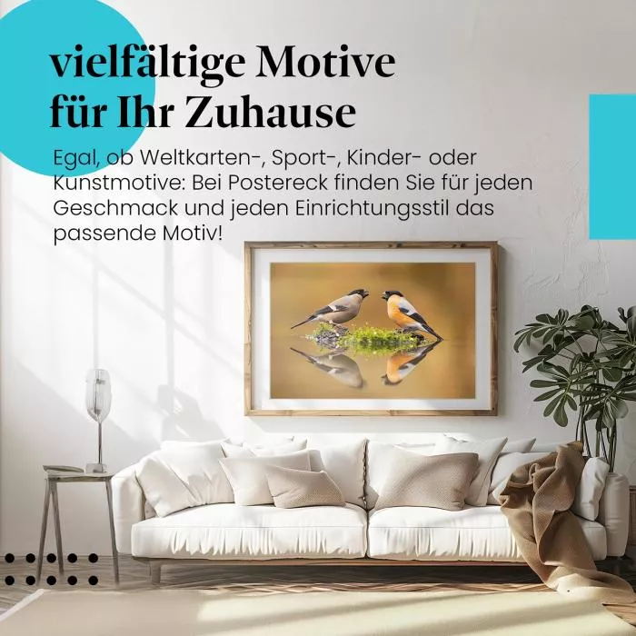 Dompfaff Pärchen | Postereck 3897