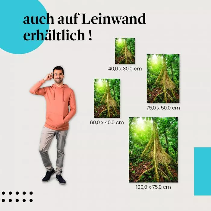 Im Dschungel: Baumwurzeln | Postereck 1325
