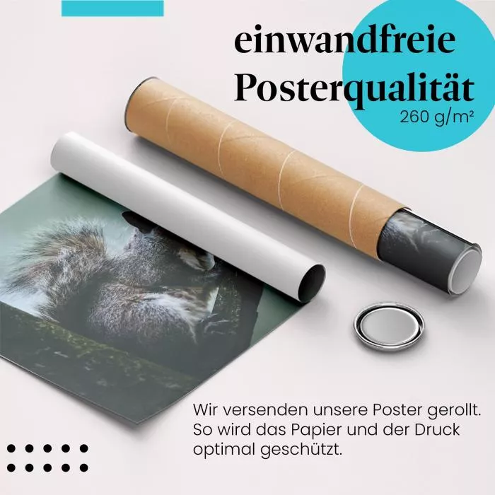 Eichhörnchen auf Ast | Postereck 2958