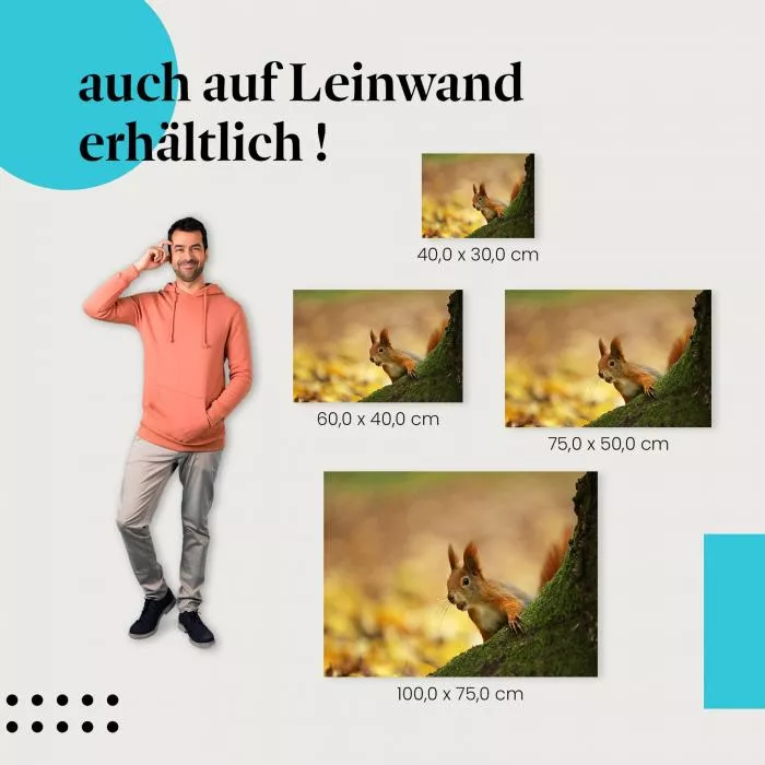 Herbstlicher Gruß: Eichhörnchen | Postereck 1380