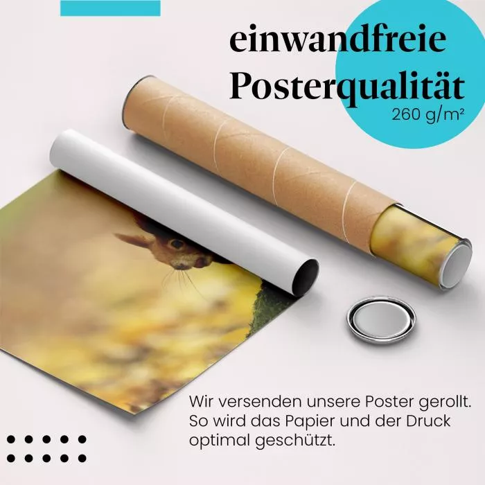Herbstlicher Gruß: Eichhörnchen | Postereck 1380