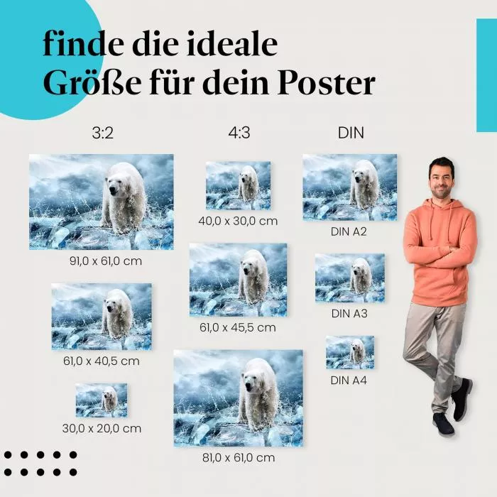 Eisbär in der Arktis: Gefahr des Klimawandels | Postereck 0197