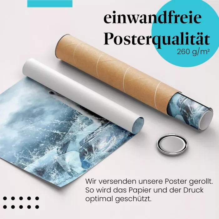 Eisbär in der Arktis: Gefahr des Klimawandels | Postereck 0197
