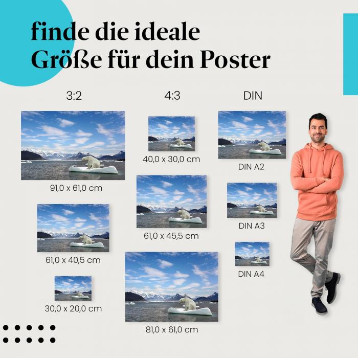Eisbär auf Eisscholle Poster: Arktische Wildnis - verschiedene Größen.