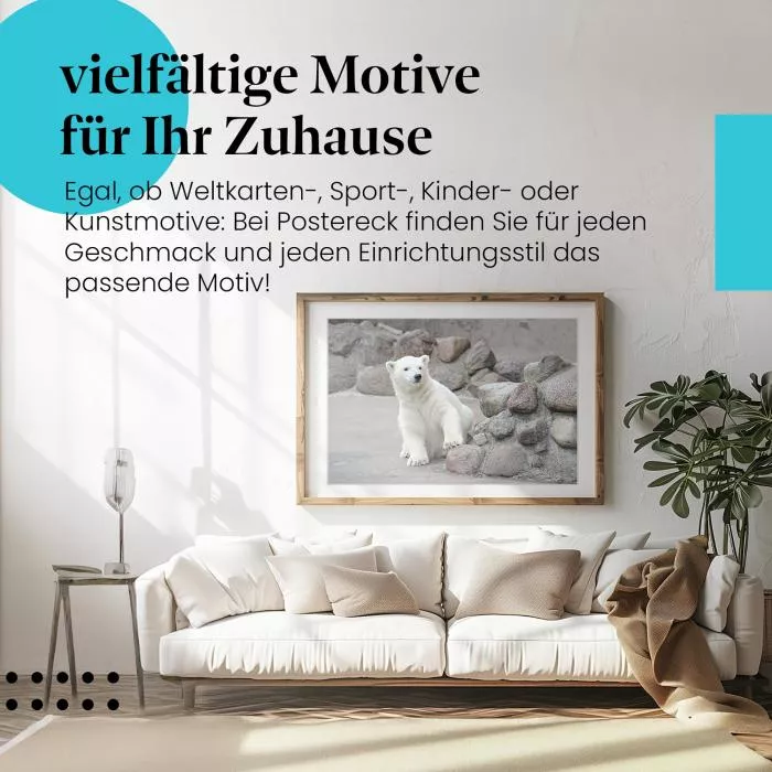 Junger Eisbär im Zoo | Postereck 1771