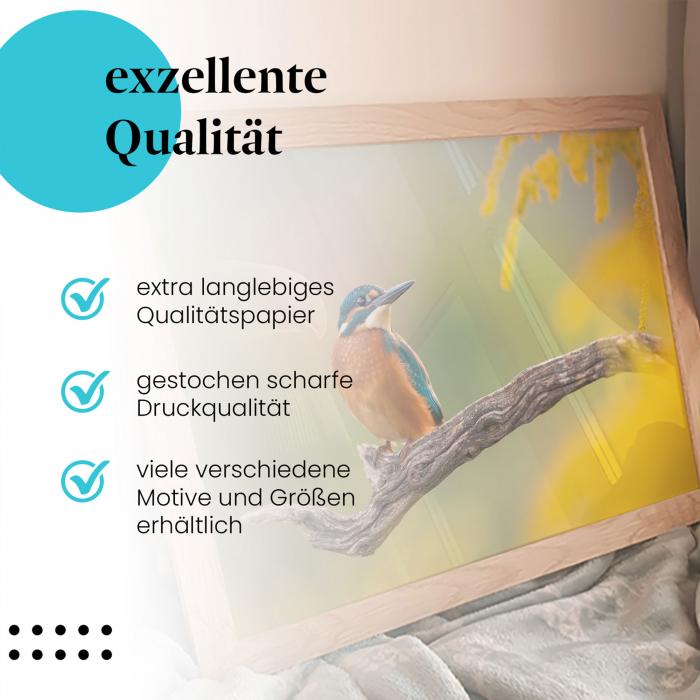 Leinwandbild "Eisvogel": Ast, blaues Gefieder, gelbe Blüten - farbenfroher Hingucker!