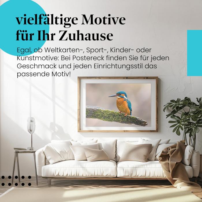 Preview: Eisvogel | Postereck 3500