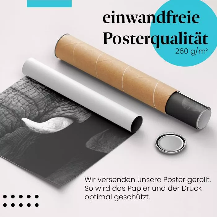  Elefant: Ausdrucksstarkes Porträt | Postereck 0218