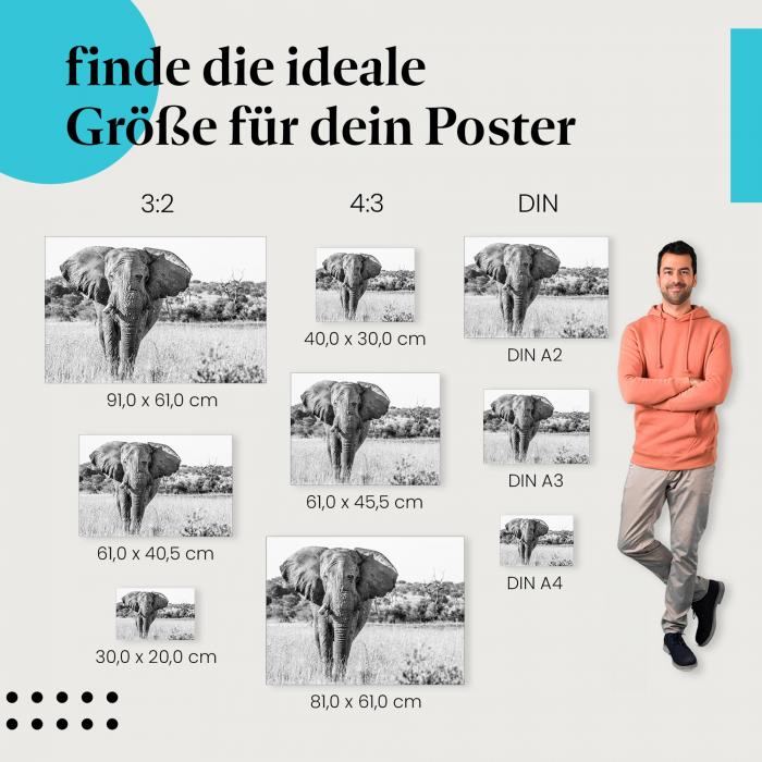 Majestätische Tiere: Afrika-Poster "Elefant in der Savanne"