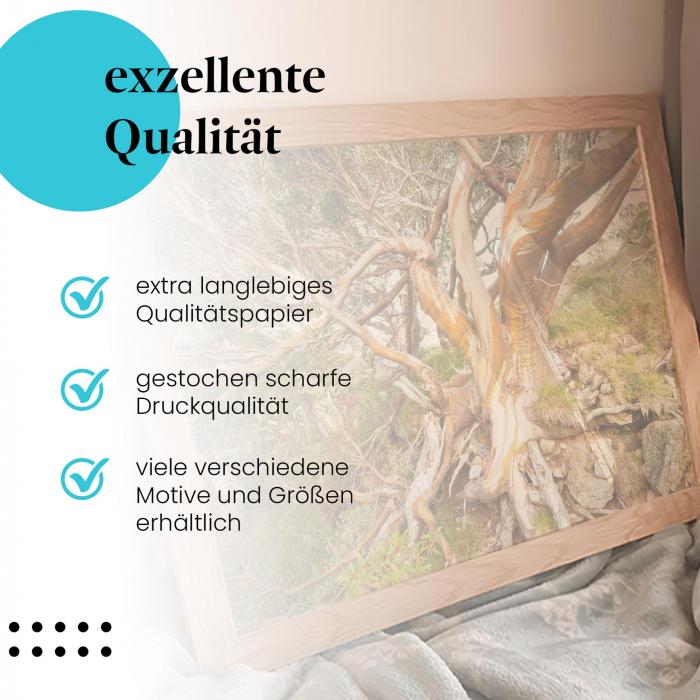 Gerahmtes Bild "Eukalyptus". Baumrinde, Farben, Muster, abstrakt.