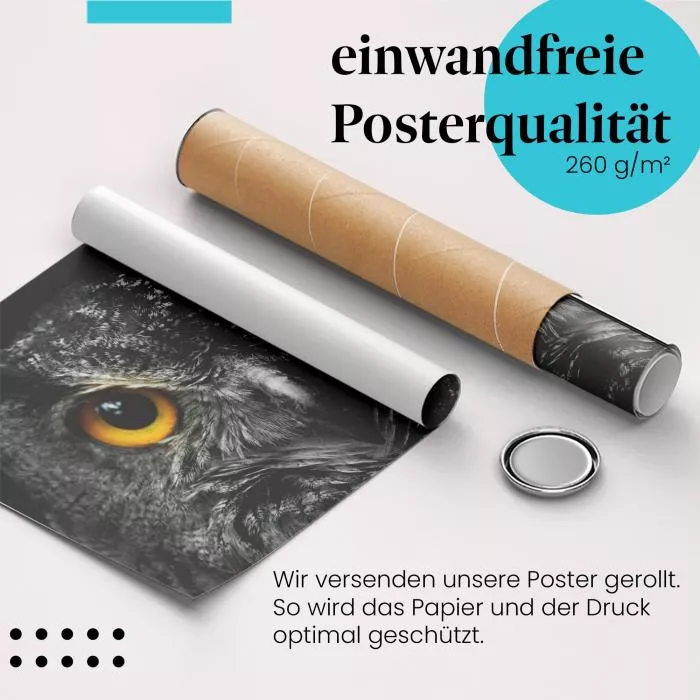 Eulenblick | Postereck 2207