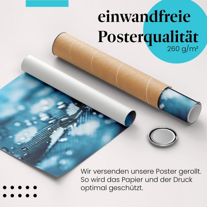 Gerolltes Poster "Wassertropfen". Natur & Makrofotografie, sicher verpackt.