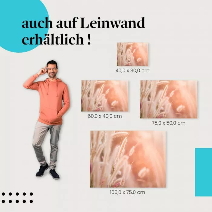 Federgräser im Wind | Postereck 2625