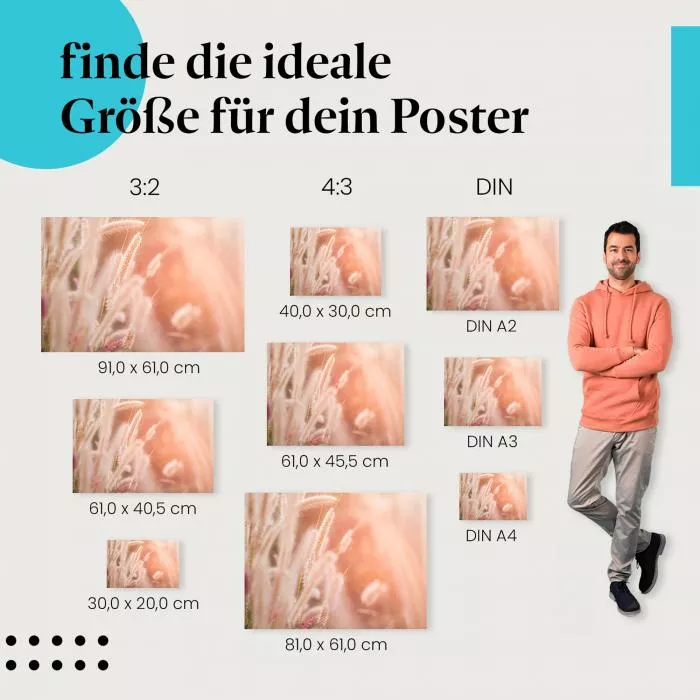 Federgräser im Wind | Postereck 2625