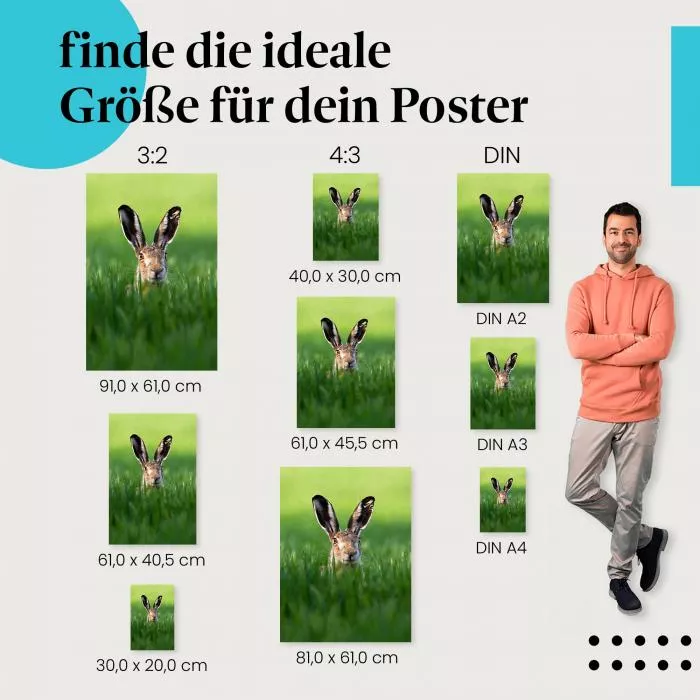 Feldhase | Postereck 3522