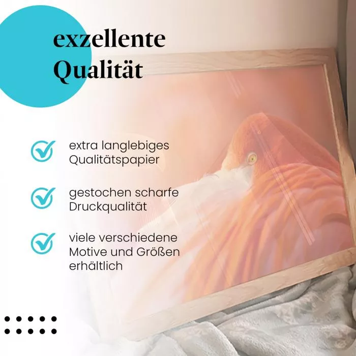 Ein Hauch von Orange: Flamingo… | Postereck 1030