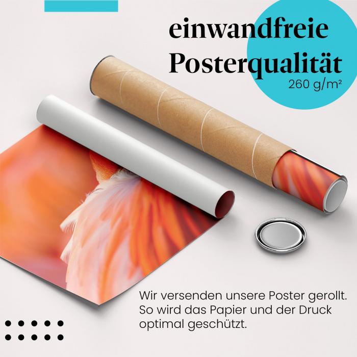 Gerolltes Poster "Flamingo", orange.