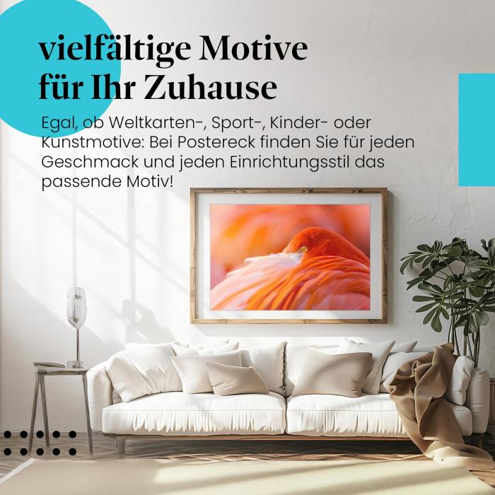 Leinwandbild Flamingo: Tropisches Feeling mit Flamingo-Nahaufnahme.