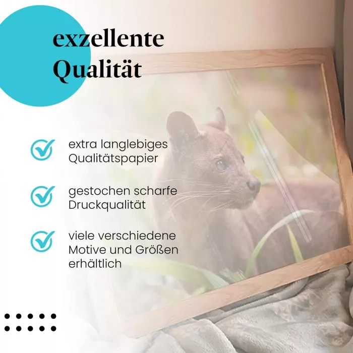 Fossa Madagaskar | Postereck 2924