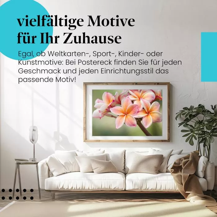 Frangipaniblüten: Exotische Schönheit | Postereck 0808