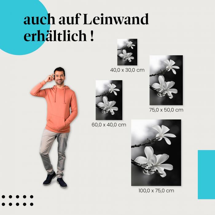 "Frangipaniblüten" Leinwandbild. Verschiedene Größen für dein modernes Zuhause - setze stilvolle Akzente mit Kunst!