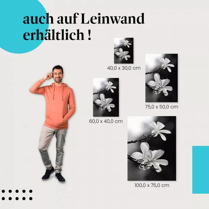Zarte Eleganz: Frangipani in Schwarzweiß | Postereck 0029