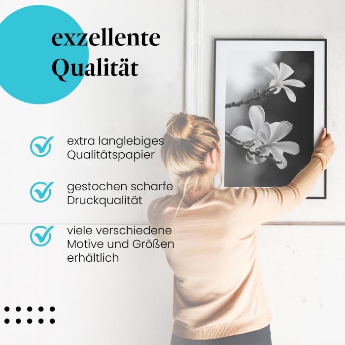Gerahmtes Wandbild "Frangipaniblüten". Hochwertig gedruckt, langlebig. Verschiedene Motive & Größen.