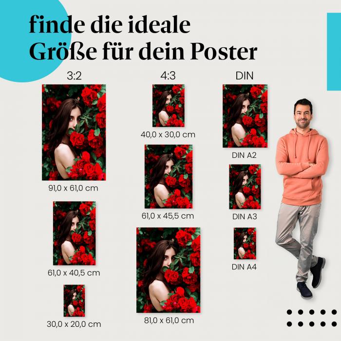 Frau, Poster: Rosen, rot, Blick, fesselnd.